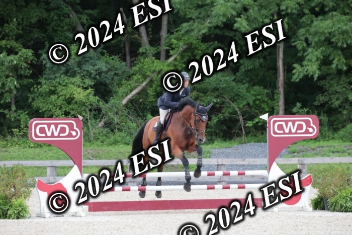204SC1_0392