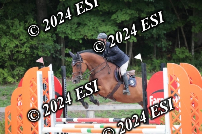 204SC1_0393
