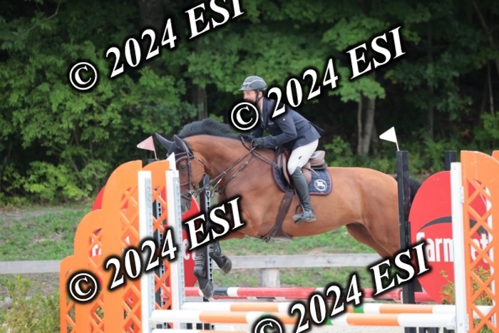 204SC1_0395
