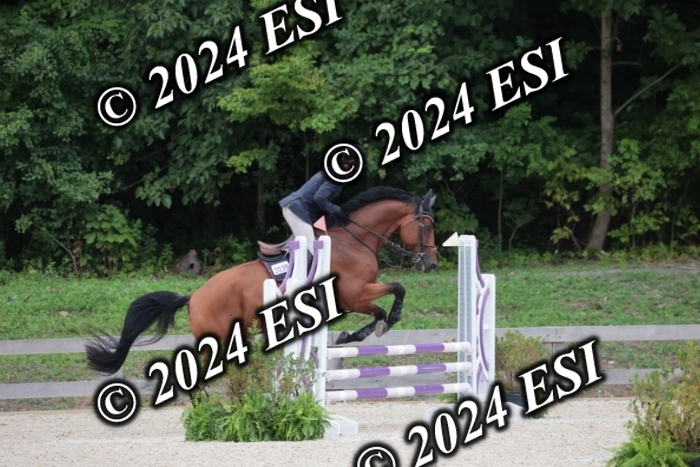 204SC1_0397
