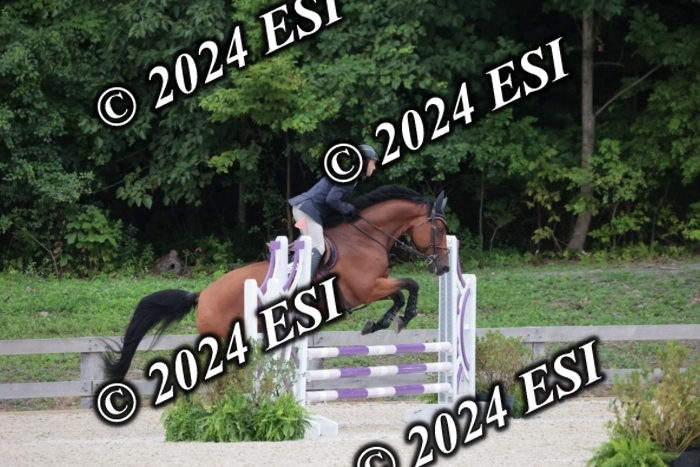 204SC1_0398