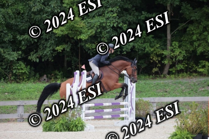204SC1_0399