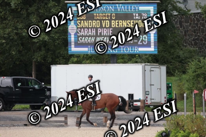 204SC1_0401