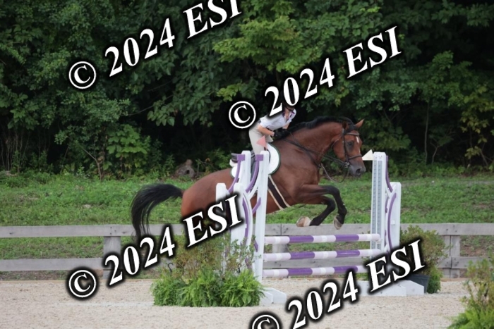 204SC1_0423
