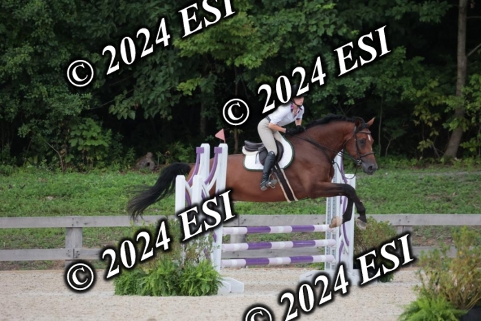 204SC1_0425