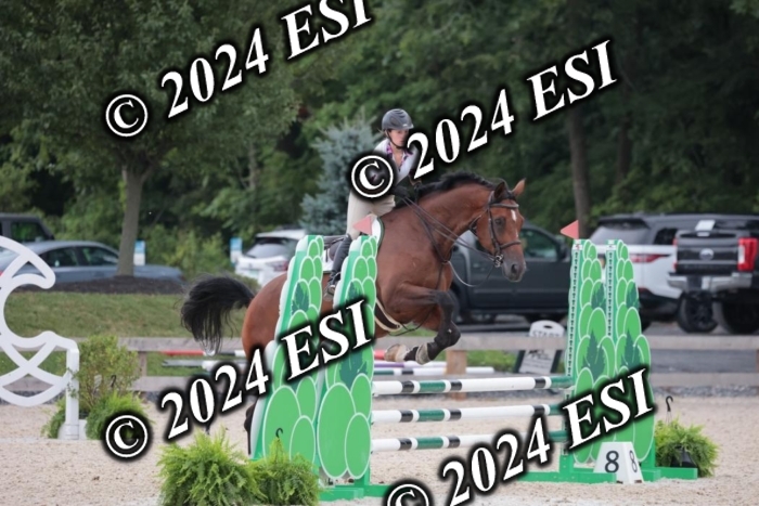 204SC1_0427