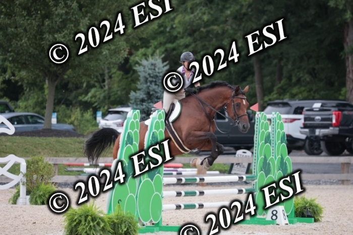 204SC1_0428