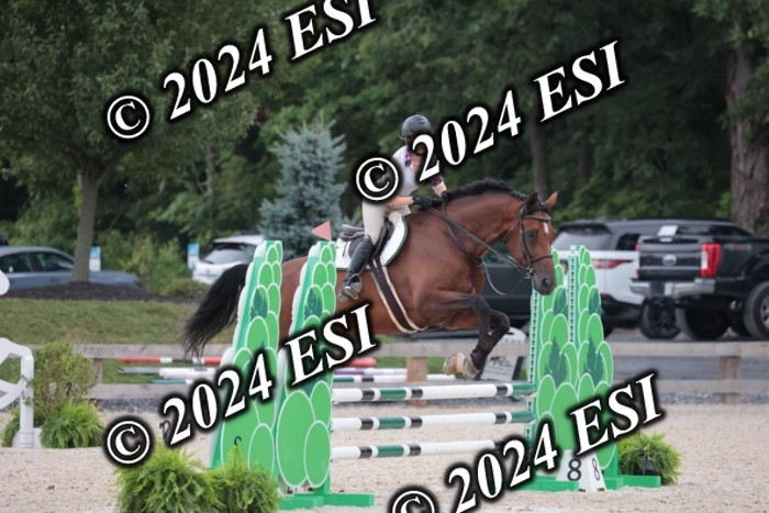 204SC1_0429