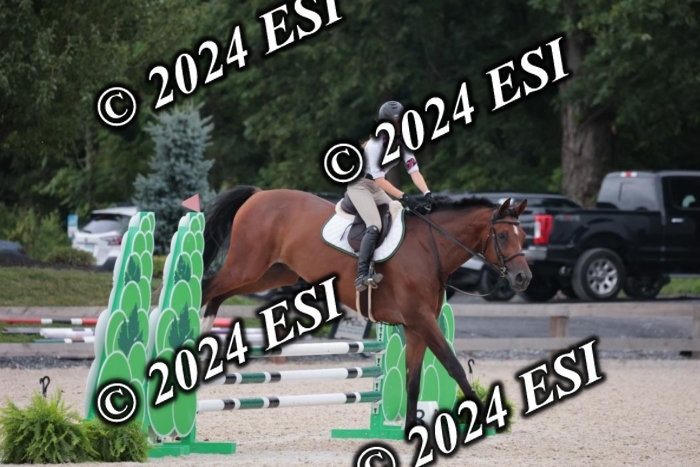 204SC1_0433