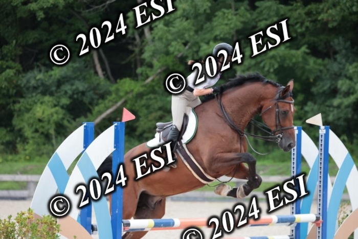 204SC1_0436