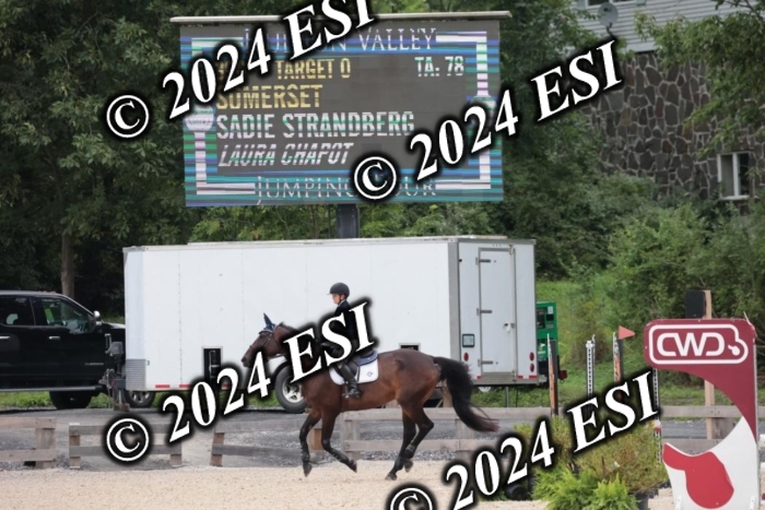204SC1_0441