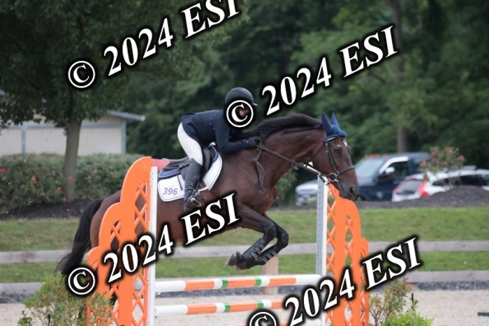 204SC1_0446