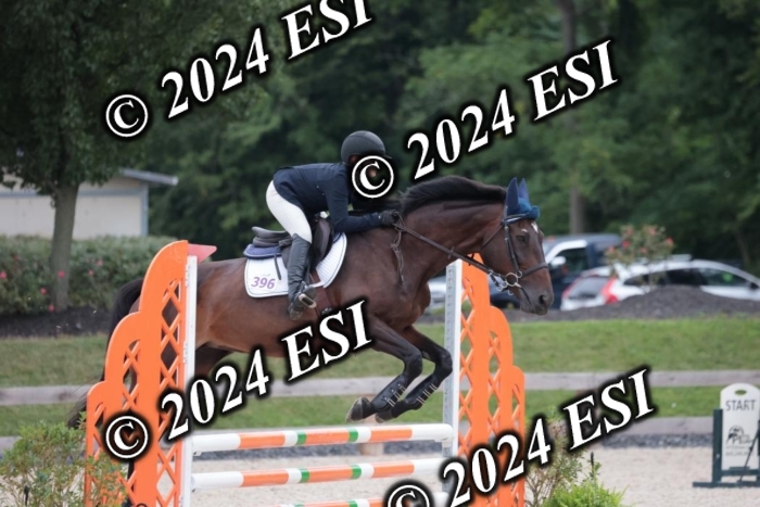 204SC1_0447