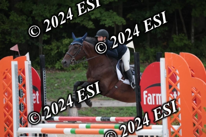 204SC1_0454