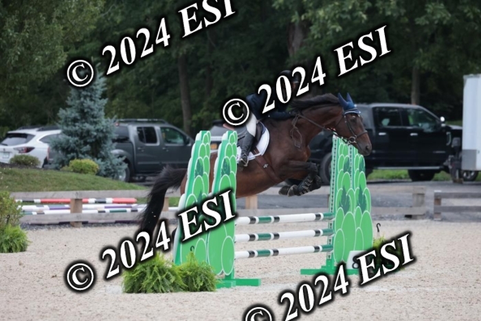 204SC1_0462