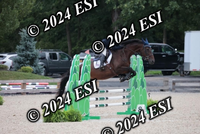 204SC1_0463