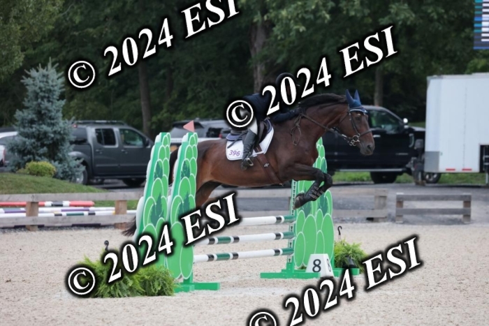204SC1_0464