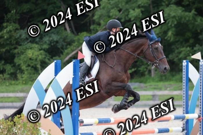 204SC1_0472