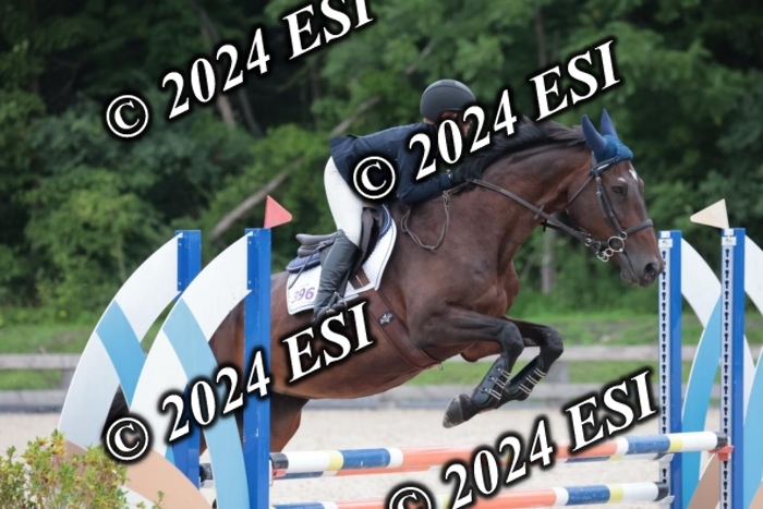 204SC1_0473