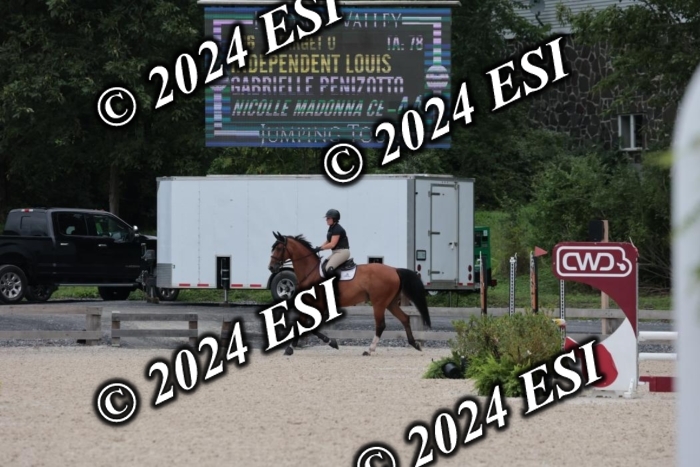 204SC1_0477