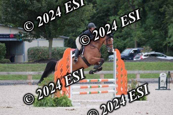 204SC1_0481
