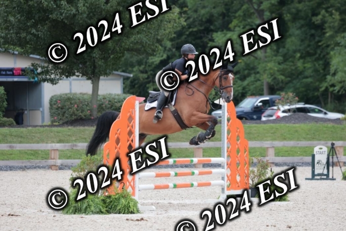 204SC1_0482