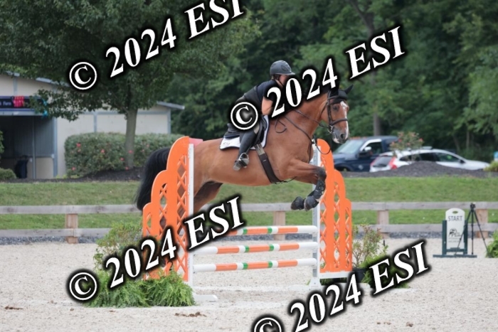 204SC1_0483