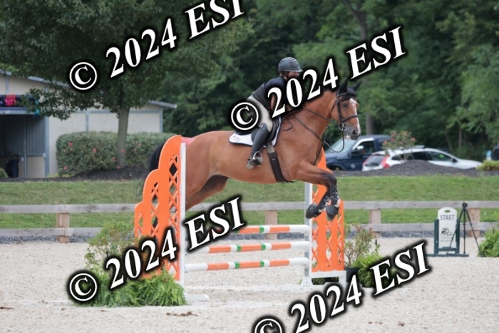 204SC1_0484