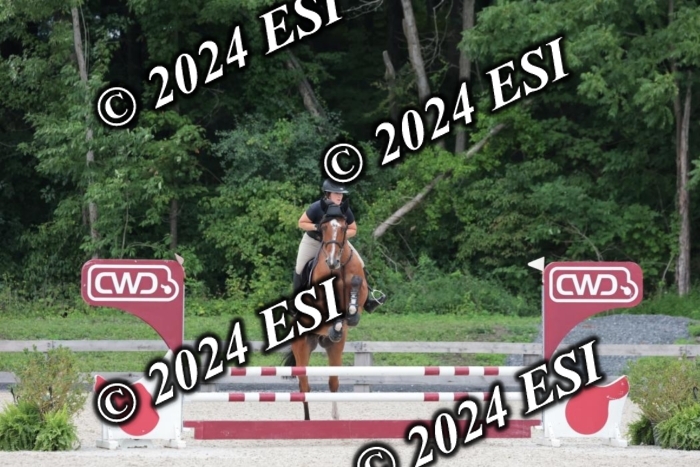 204SC1_0485