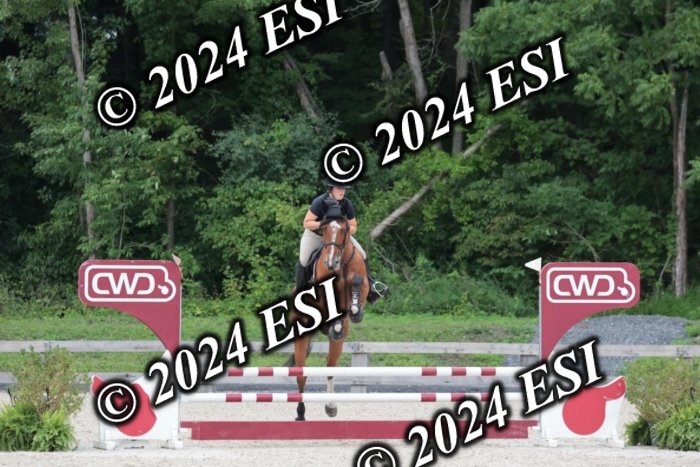 204SC1_0486