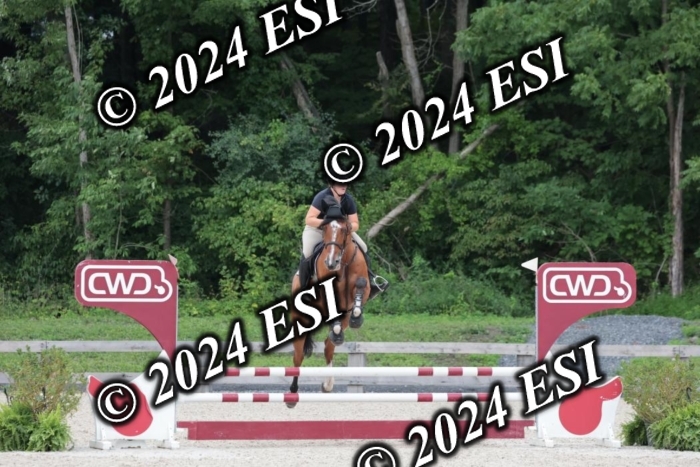 204SC1_0487