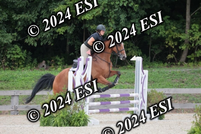204SC1_0497