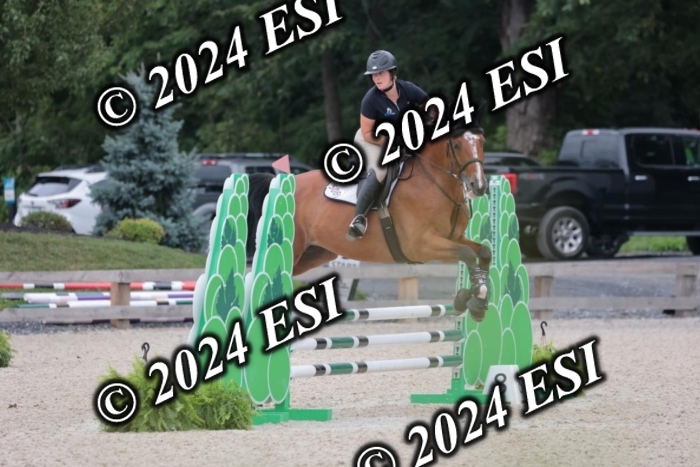 204SC1_0504