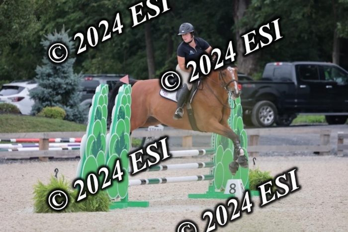 204SC1_0505