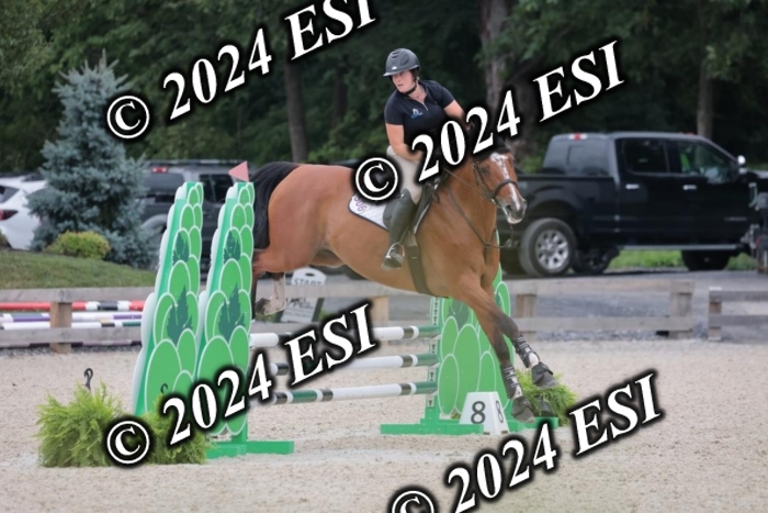 204SC1_0506