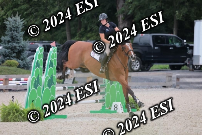 204SC1_0507