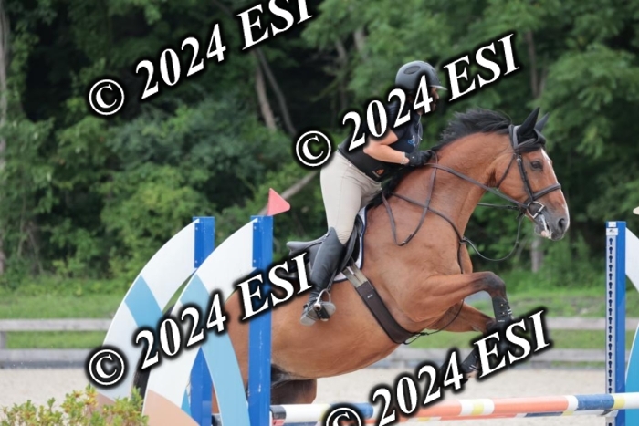 204SC1_0511