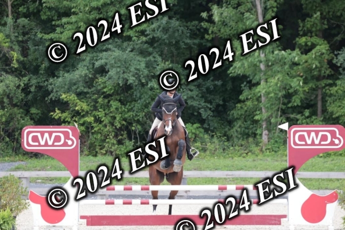 204SC1_0526