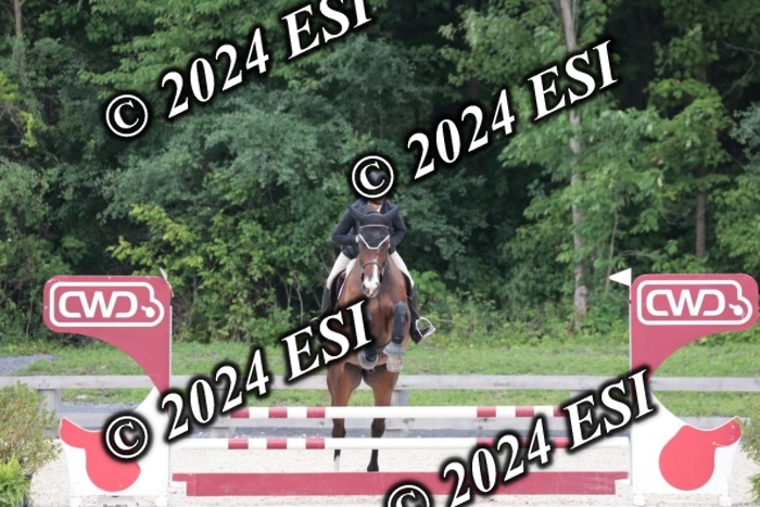 204SC1_0527