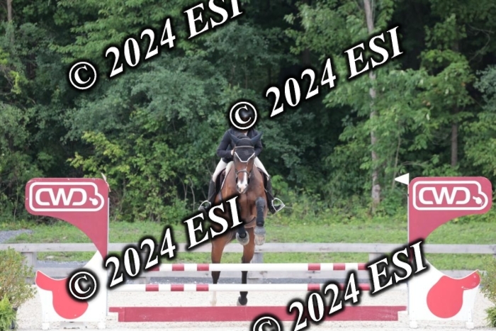 204SC1_0528