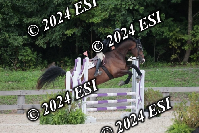 204SC1_0535