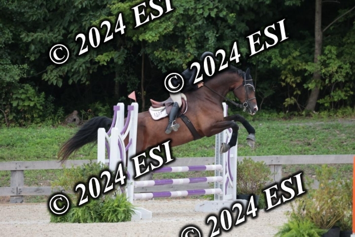 204SC1_0536