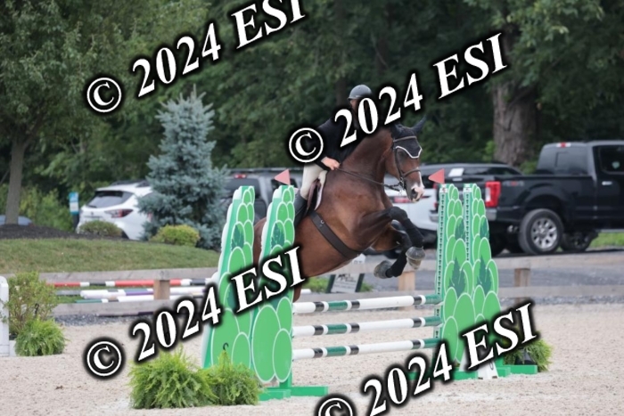 204SC1_0539