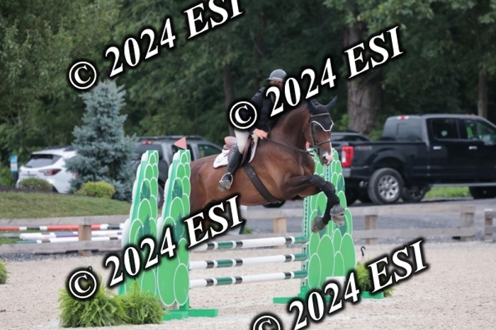 204SC1_0541