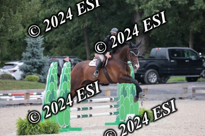 204SC1_0542
