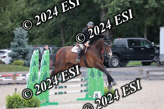 204SC1_0543