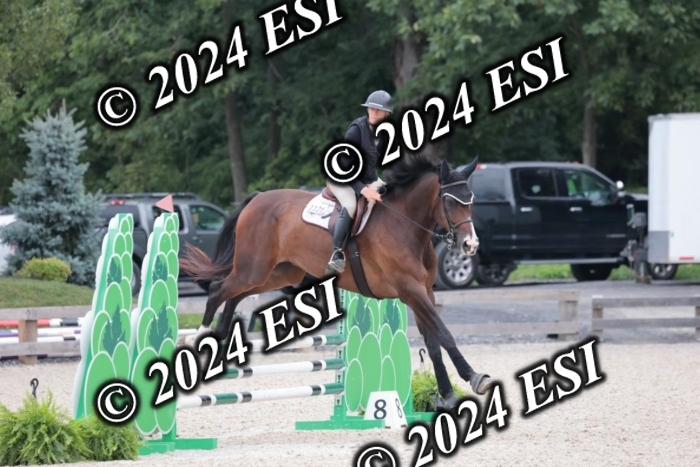 204SC1_0544