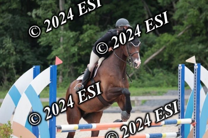 204SC1_0546
