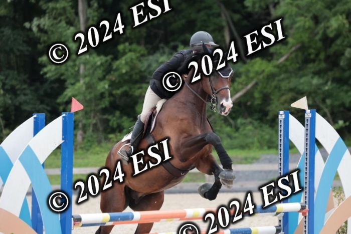 204SC1_0547