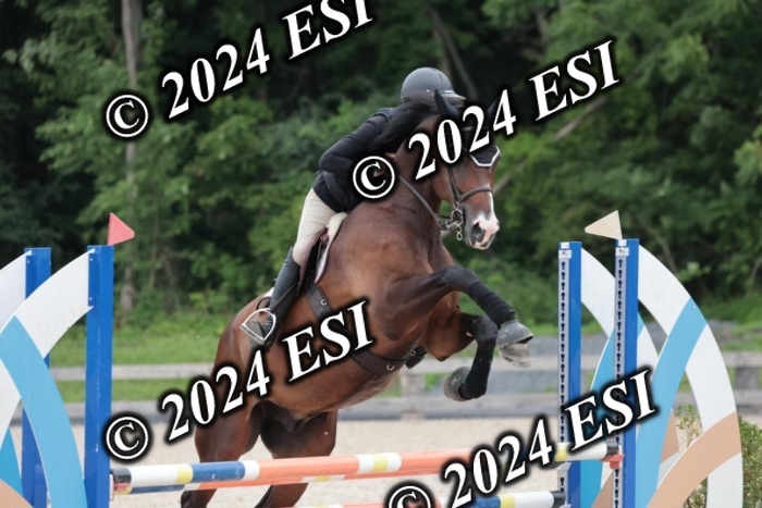 204SC1_0548